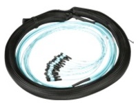 Panduit - Trunk cable