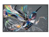 Philips 55BDL3511Q - 55" Diagonal Class (54.6" viewable)