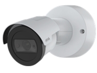 AXIS M2036-LE - Network surveillance camera