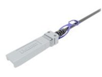 Panduit 10Gig - 10GBase direct attach cable