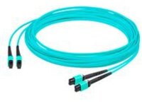 AddOn - Trunk cable - MPO multi-mode (F) to MPO multi-mode (F)