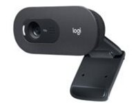 Logitech C505 - Webcam