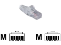 Black Box - Patch cable