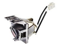 ViewSonic RLC-117 - Projector lamp