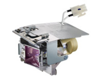 ViewSonic RLC-110 - Projector lamp