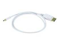 Monoprice - DisplayPort cable