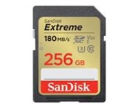 SanDisk Extreme - Flash memory card