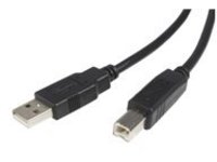 StarTech.com 6 ft. (1.8 m) USB Printer Cable - USB 2.0 A to B - Printer Cable - Black - USB A to B (USB2HAB6) - USB cab…