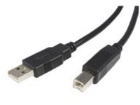 StarTech.com 6 ft. (1.8 m) USB Printer Cable