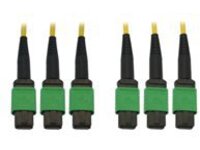 Eaton Tripp Lite Series 40/100G Singlemode 9/125 OS2 Fiber Optic Cable (3x8F MTP/MPO-APC F/F), LSZH, Yellow, 23 m (75 ft.)