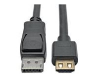Tripp Lite DisplayPort 1.4 to HDMI Active Adapter Cable (M/M), 4K 60 Hz, 4:4:4, HDR, HDCP 2.2, 10 ft. (3 m)
