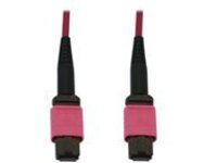 Eaton Tripp Lite Series 100G Multimode 50/125 OM4 Fiber Optic Cable (12F MTP/MPO-PC F/F), LSZH, Magenta, 25 m (82 ft.)