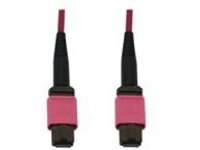 Eaton Tripp Lite Series 100G Multimode 50/125 OM4 Fiber Optic Cable (12F MTP/MPO-PC F/F), LSZH, Magenta, 1 m (3.3 ft.)