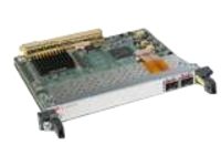 Cisco Shared Port Adapter