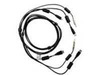 Cybex - Video / USB / audio cable