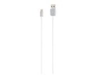 iStore - Lightning cable