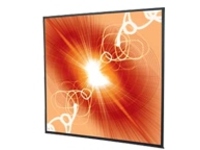 Draper Cineperm - Projection screen