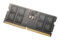 Team Elite - DDR5 - module