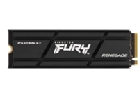Kingston FURY Renegade