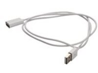 AddOn - USB cable - USB Type B (M) to USB (M)