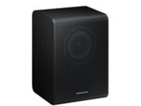 Samsung SWA-9200S - Rear channel speakers
