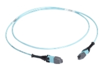 Black Box - Trunk cable