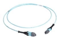 Black Box - Trunk cable
