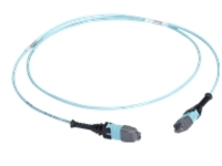 Black Box - Trunk cable
