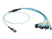 Black Box - Network cable