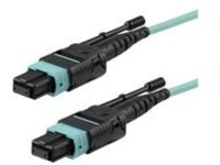 Startech MTP Fiber Optic Cable