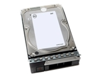 Dell - Hard drive - 20 TB