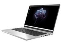 HP Elite Mobile Thin Client mt645 G7