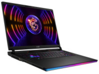 MSI Raider GE78HX 14VIG-871US