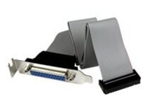 StarTech.com Low Profile 16in Parallel Port Header Cable Adapter w/ Bracket