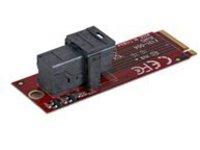 StarTech.com U.2 to M.2 Adapter