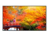 NEC MultiSync MA491-MPI4E
