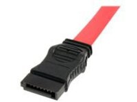 StarTech.com 20in Slimline SATA to SATA with LP4 Power Cable Adapter