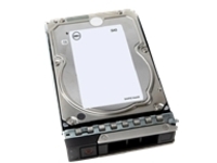 Dell - Hard drive - 8 TB