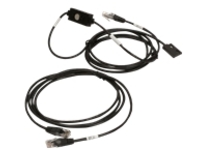 APC NetShelter Rack PDU Advanced
