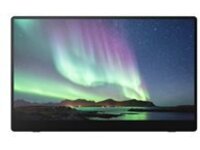 Ricoh 150 - OLED monitor