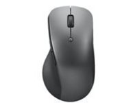 Lenovo Professional - Mouse