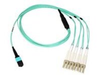 Axiom - Breakout cable