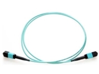 Axiom - Trunk cable - TAA Compliant