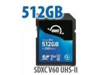 OWC Atlas Pro - Flash memory card