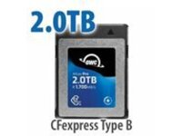 OWC Atlas Pro - Flash memory card