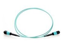 Axiom - Trunk cable - TAA Compliant