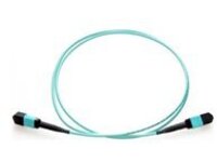 Axiom - Trunk cable - TAA Compliant