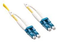 Axiom - Network cable