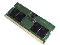 Total Micro - DDR5 - module