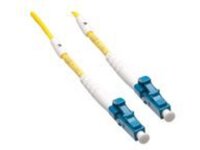 Axiom - Network cable